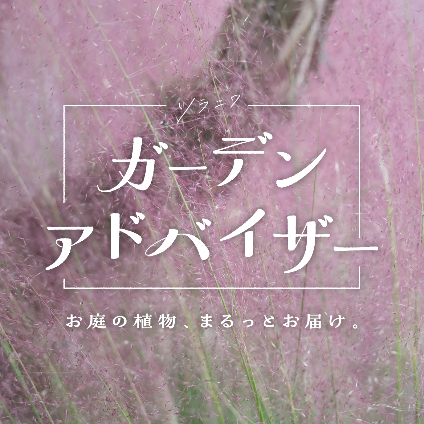 ソラニワ ガーデンアドバイザー お庭の植物、まるっとお届け。
